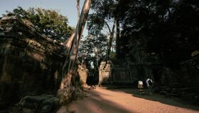 Ta Prohm Sunlight Siem Reap, Cambodia